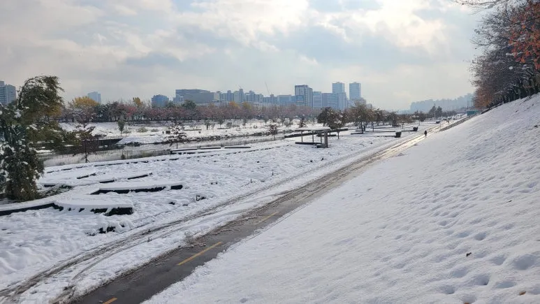 20241128_111616.jpg?type=w773