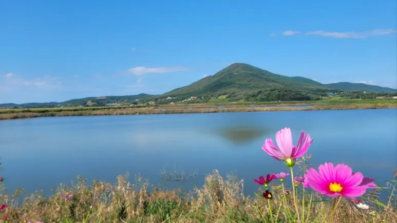 1727749758896.jpg?type=w773