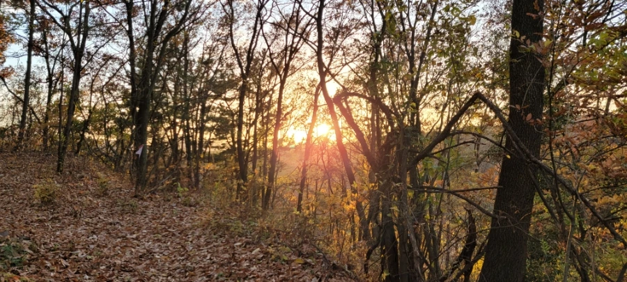 20211122%EF%BC%BF165626.jpg?type=w1