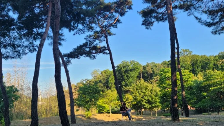 3472575198610482268:29062375.jpg?type=w773