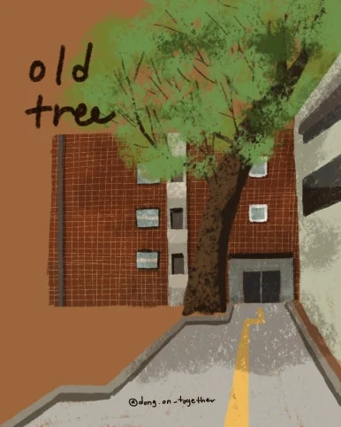 KakaoTalk_20250310_093016388.jpg?type=w386