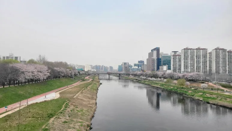 20250409_085115.jpg?type=w773