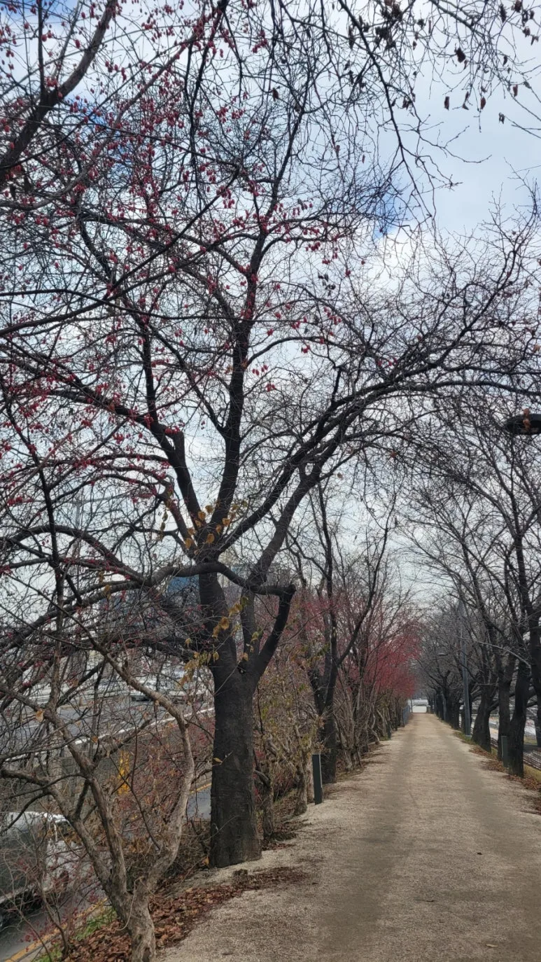 900%EF%BC%BF20251215%EF%BC%BF114905.jpg?type=w773