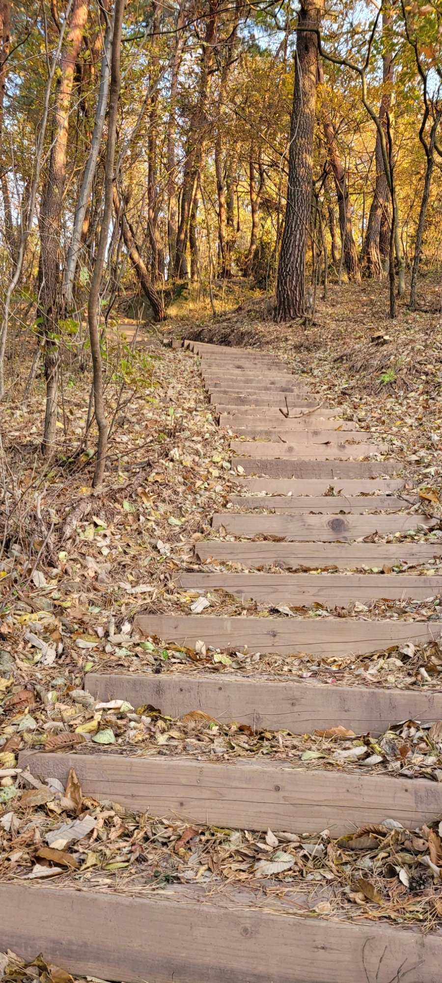 20211122%EF%BC%BF165223.jpg?type=w1