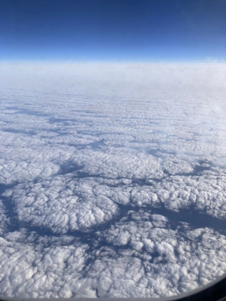 1713085644281.jpg?type=w773