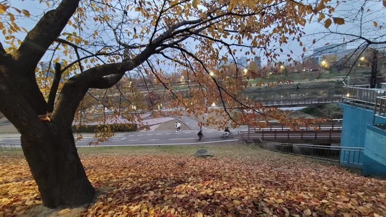 20251123_172525.jpg?type=w773