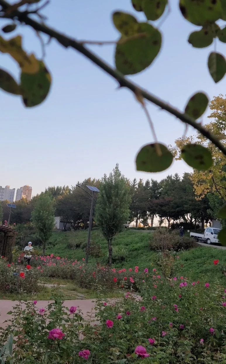 Screenshot_20241024_073326_Gallery.jpg?type=w773