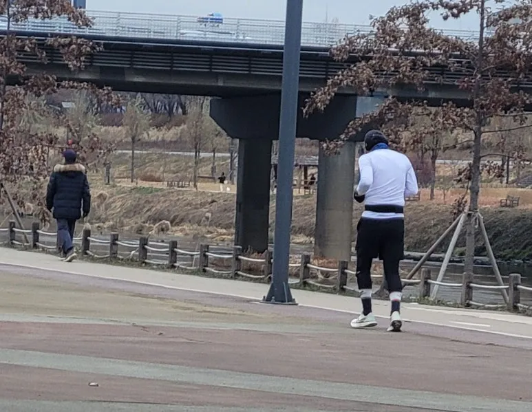 SE-87fcc837-b82b-4ab7-9a6e-b9147c48c757.jpg?type=w773