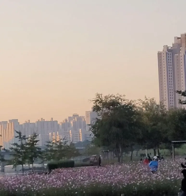 SE-5aed30fc-4ae5-4154-86bb-493885b27c72.jpg?type=w773