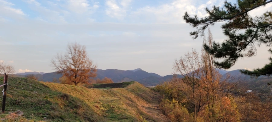 20211122%EF%BC%BF165950.jpg?type=w1