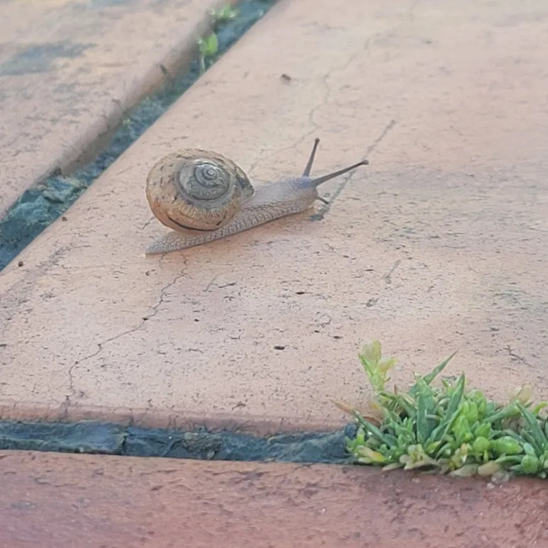 20250517_060122.jpg?type=w773