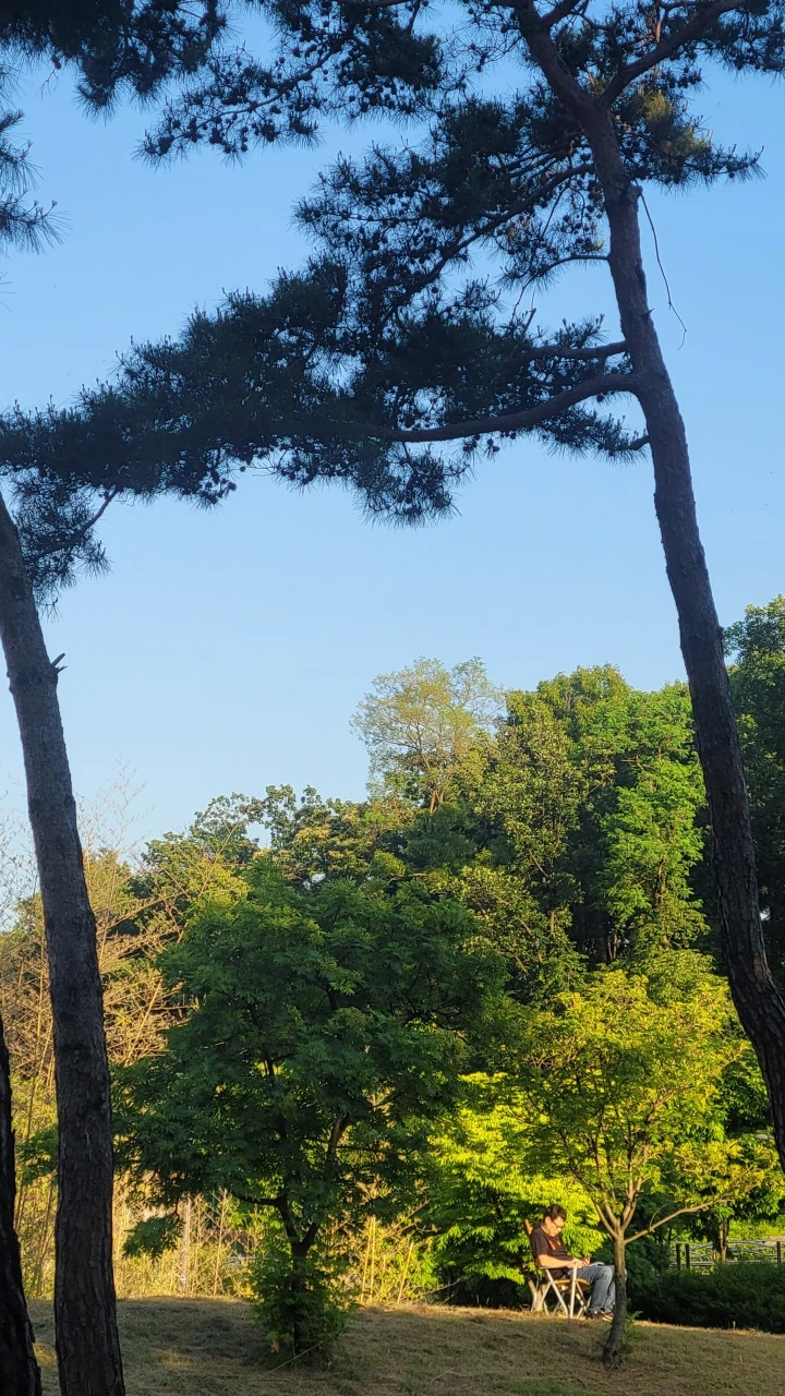 3472575198609725532:29062375.jpg?type=w773