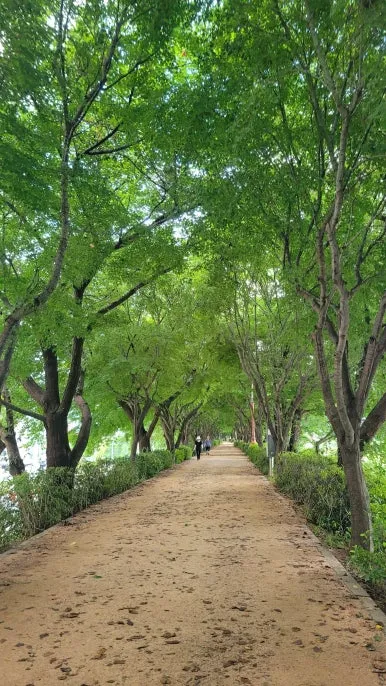 20250817_074554.jpg?type=w386