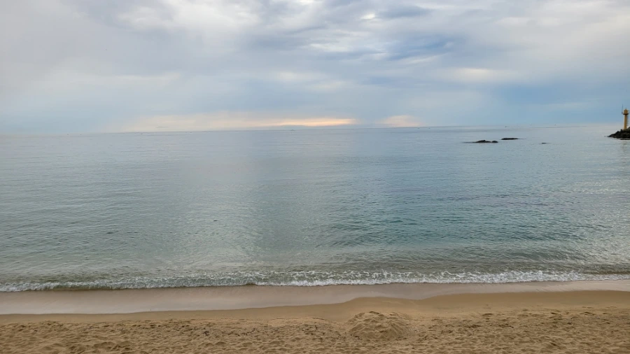 20220630%EF%BC%BF065007.jpg?type=w1