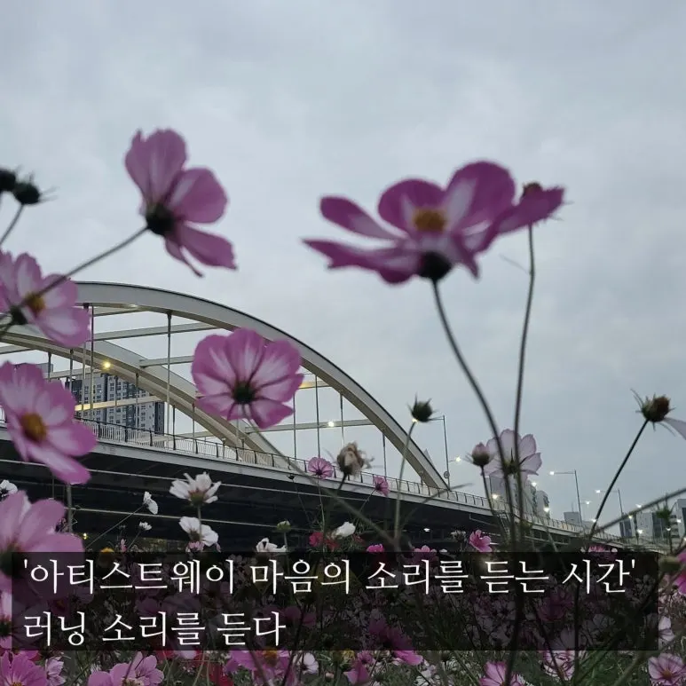 SE-3d0977e8-d8d8-4017-a9b3-36910b2f8913.jpg?type=w773