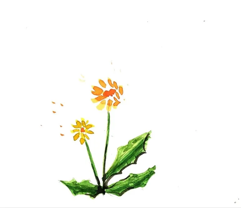 temp_1663755426966.752101825.jpeg?type=w773