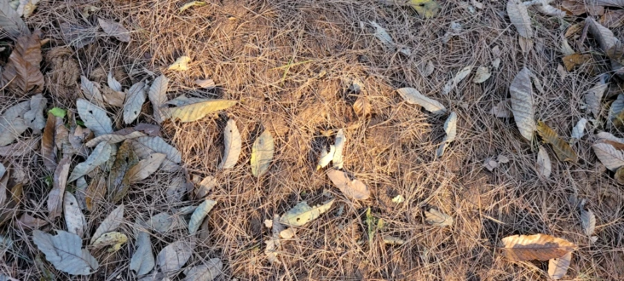 20211122%EF%BC%BF165406.jpg?type=w1