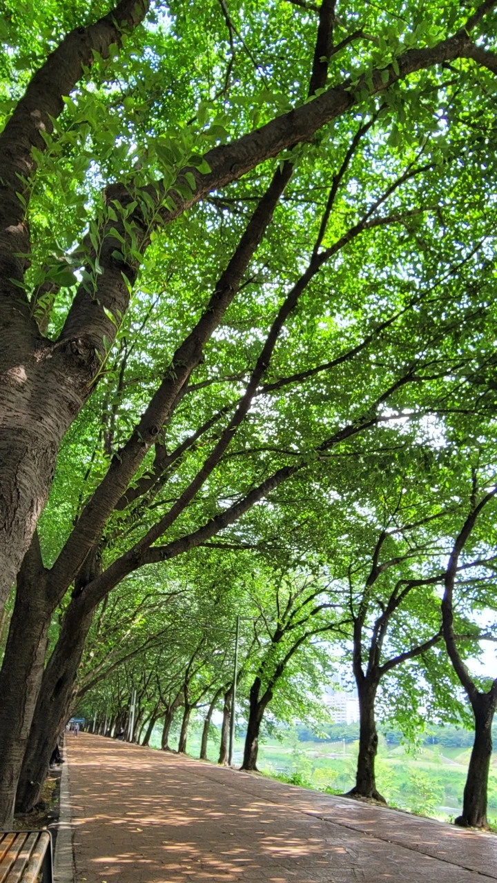 3472575279281320028:29062375.jpg?type=w773