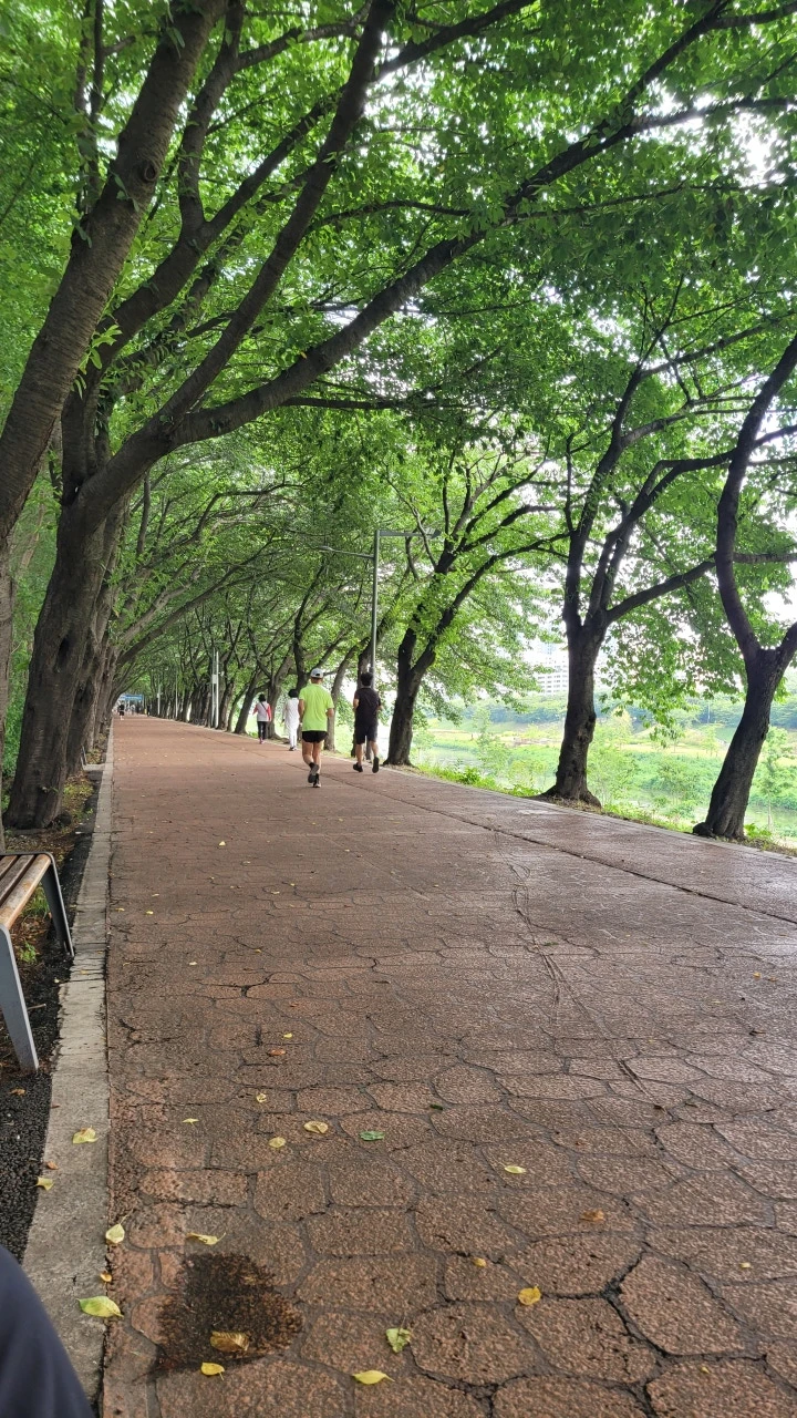 3472575279281183836:29062375.jpg?type=w773