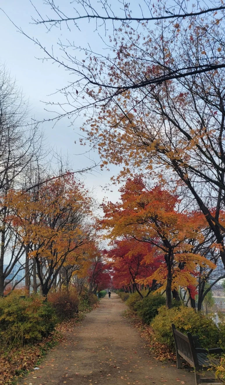 SE-ba8cf4ec-d0fe-4f28-9e50-2dafbe14a2bd.jpg?type=w773