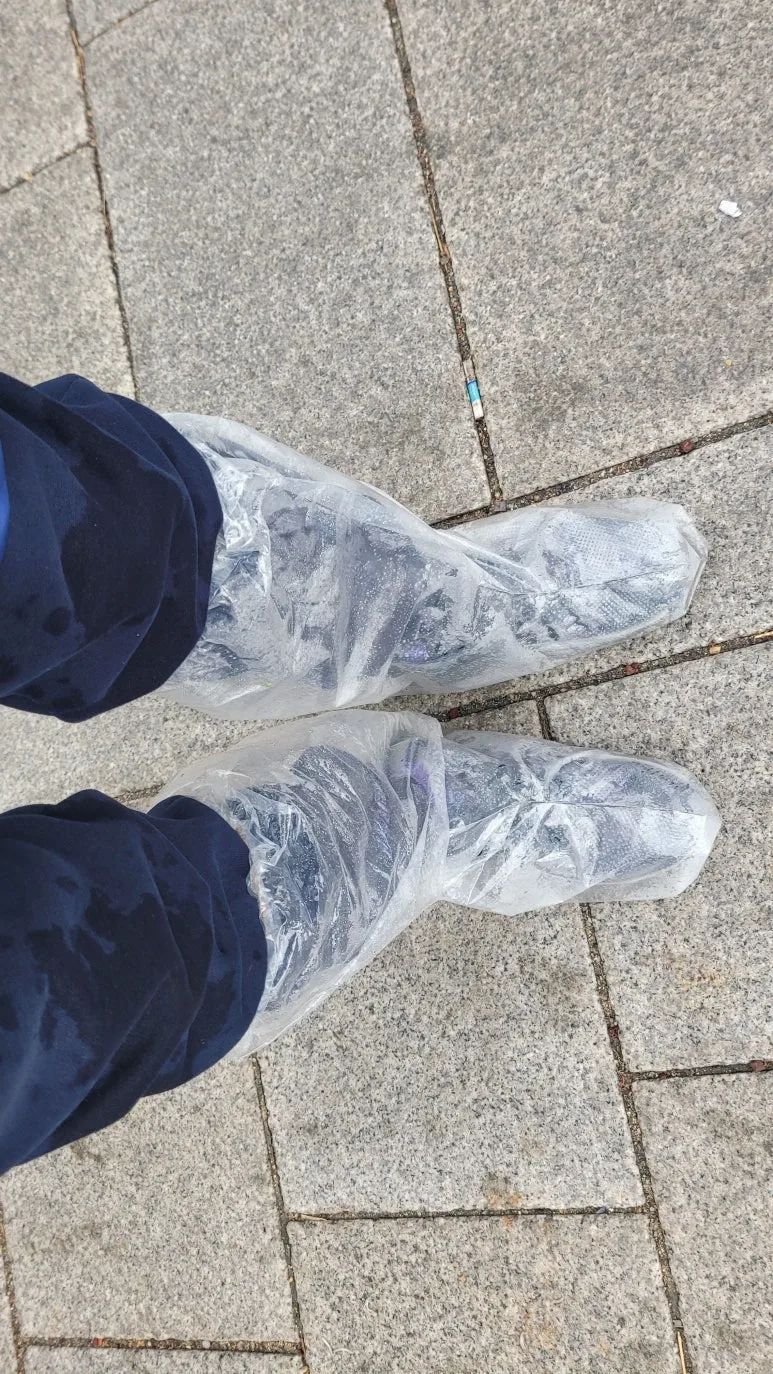 20250316_104508.jpg?type=w773