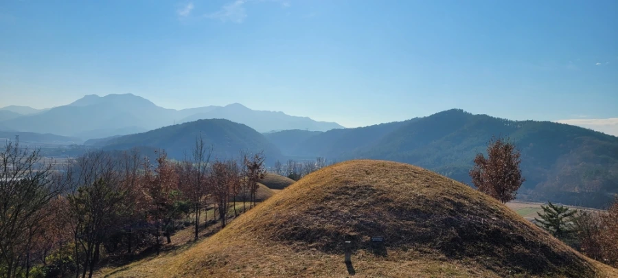 20211129%EF%BC%BF134748.jpg?type=w1