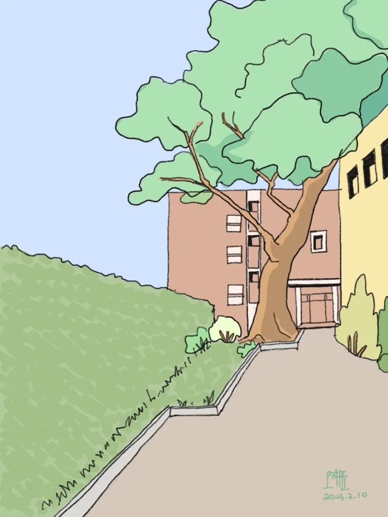 KakaoTalk_20250310_173637148.jpg?type=w773