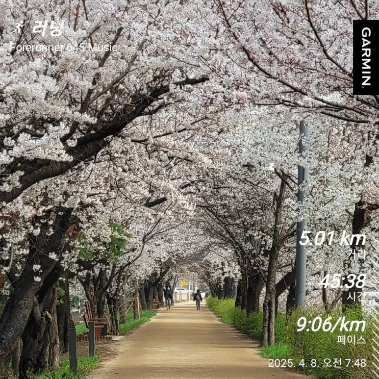 1744069366738.jpg?type=w773