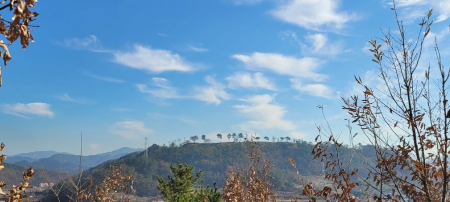 20211129%EF%BC%BF134911.jpg?type=w1