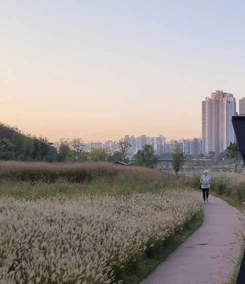 Screenshot_20241024_073932_Gallery.jpg?type=w773