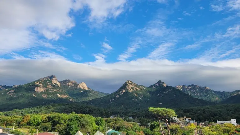 20251012_150732.jpg?type=w773