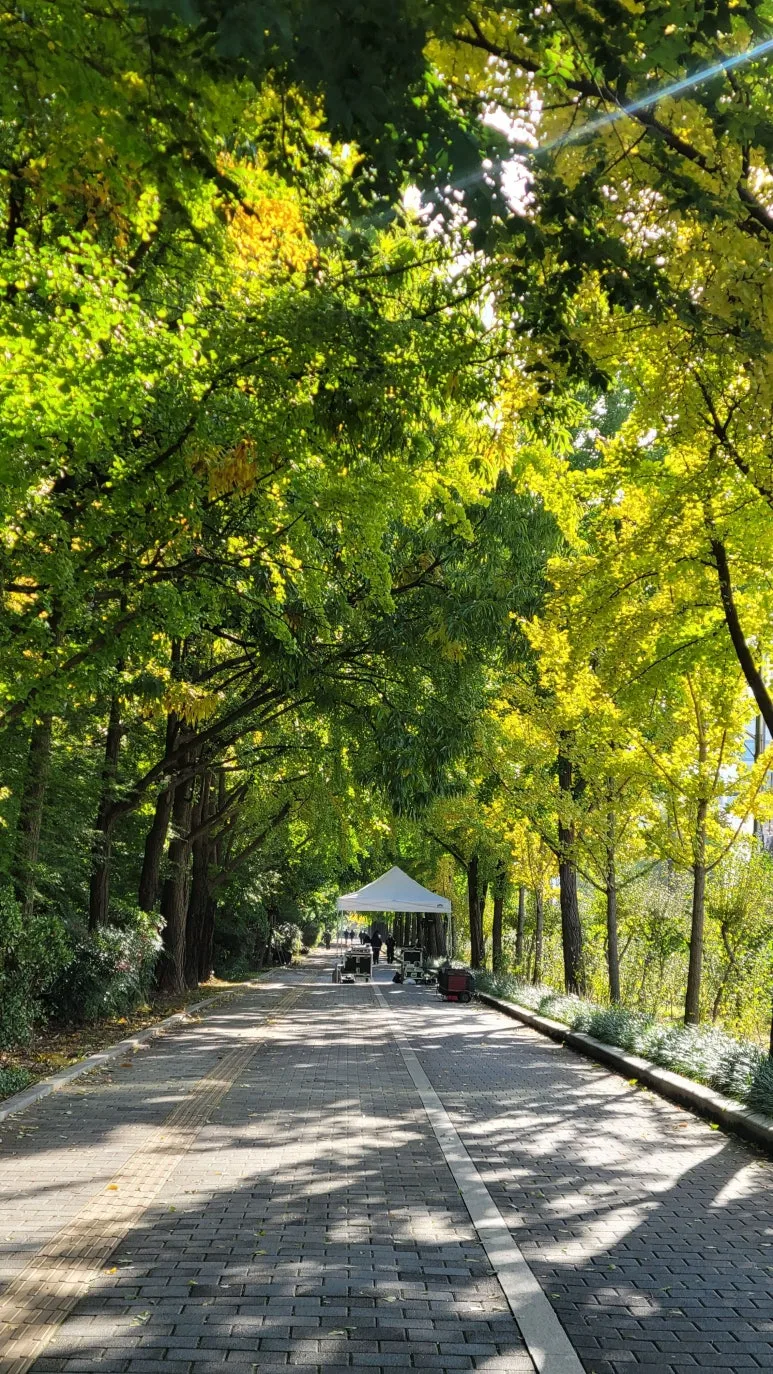 20251102_092707.jpg?type=w773