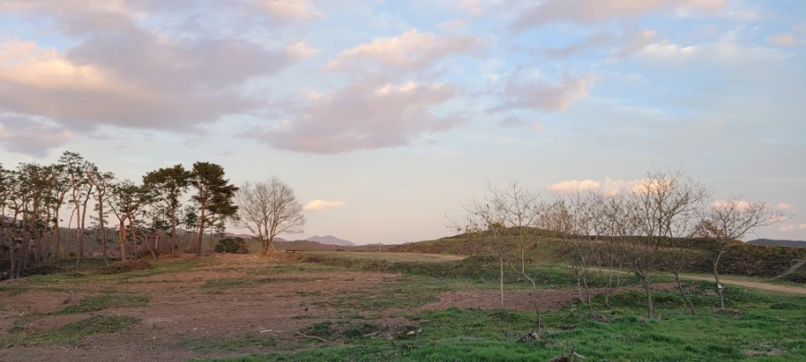 20211122%EF%BC%BF170234.jpg?type=w1