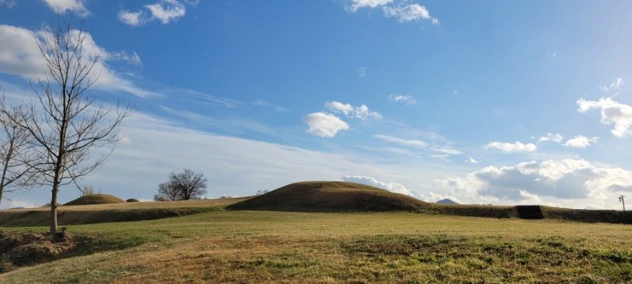 20211122%EF%BC%BF151425.jpg?type=w1