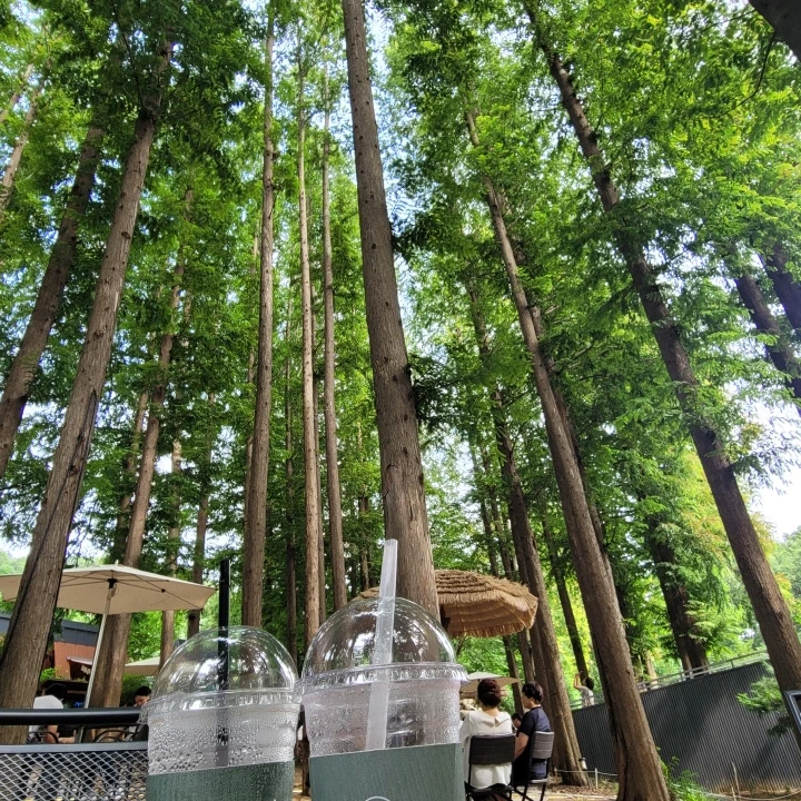 SE-94c71ccf-e359-4d3d-813d-d4a2c739e465.jpg?type=w773