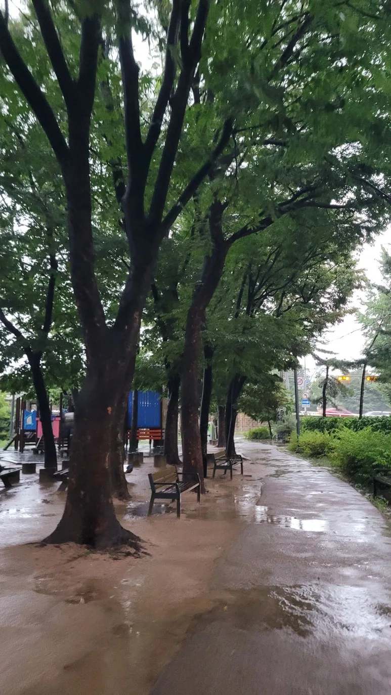 20250813_062652.jpg?type=w773