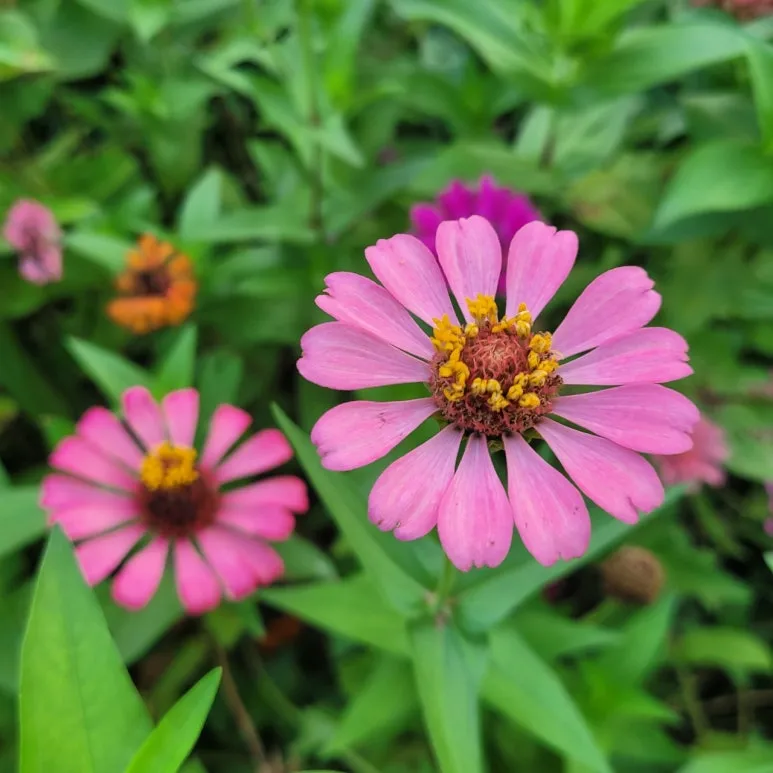 3472594486183415900:29062375.jpg?type=w773