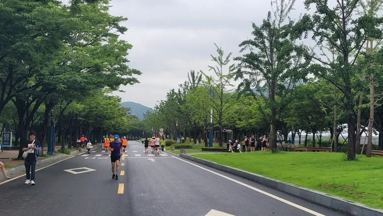 SE-3ce00a62-003a-49b8-9c5f-94337e96bf47.jpg?type=w773