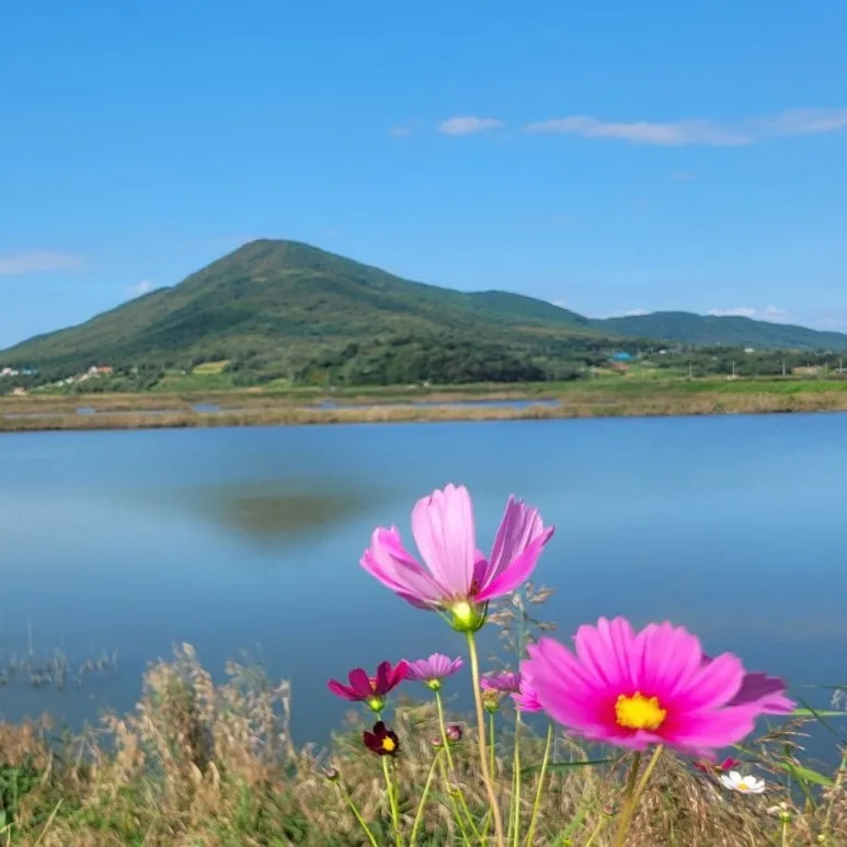 SE-cae6ce82-8305-4ac5-8b8f-c5a29291c102.jpg?type=w773