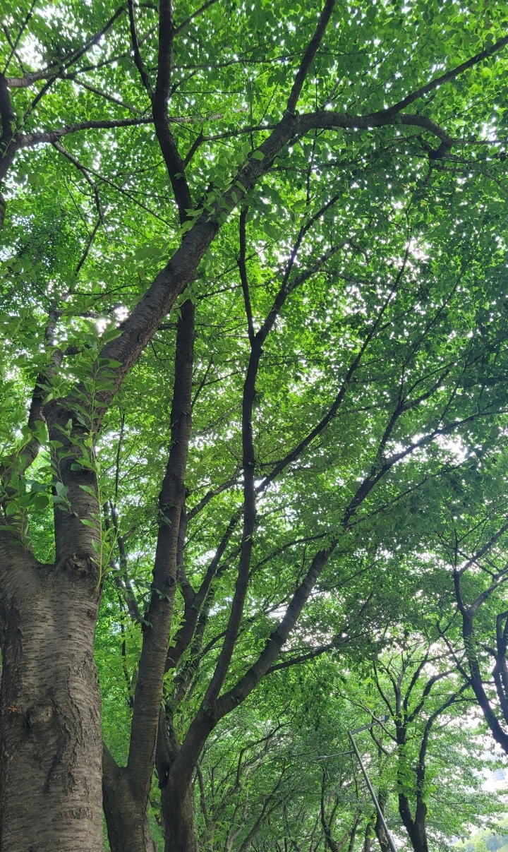 SE-3de3fc8d-bc90-4a2f-84bc-dee3d7ed1f8c.jpg?type=w773