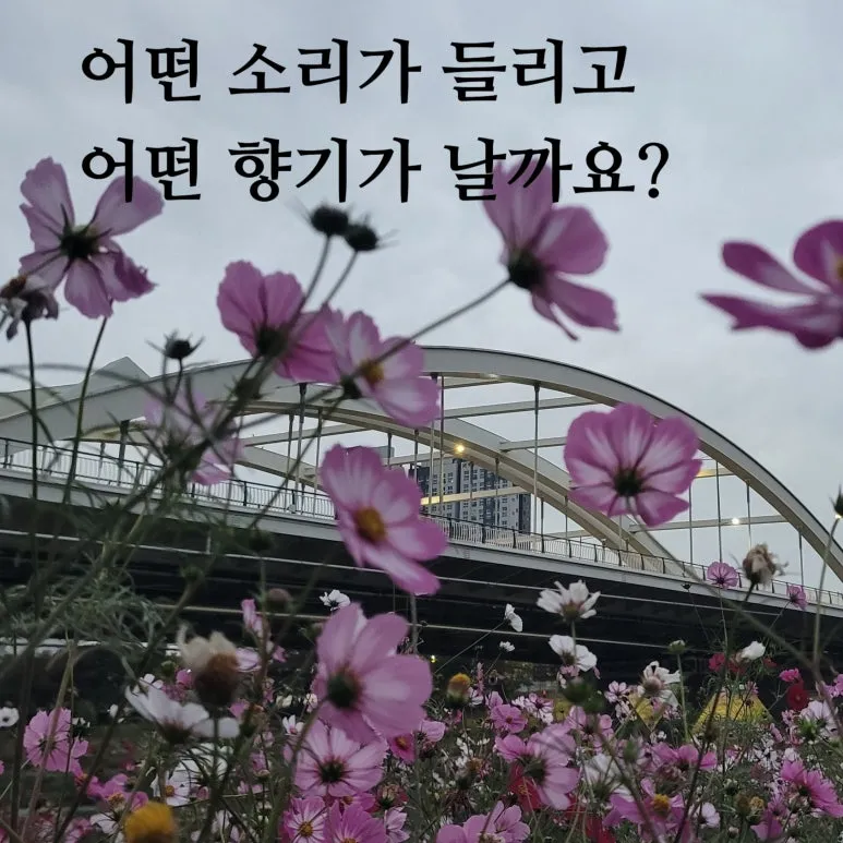 SE-0c51594f-c89e-4426-a9d9-947a276224c9.jpg?type=w773