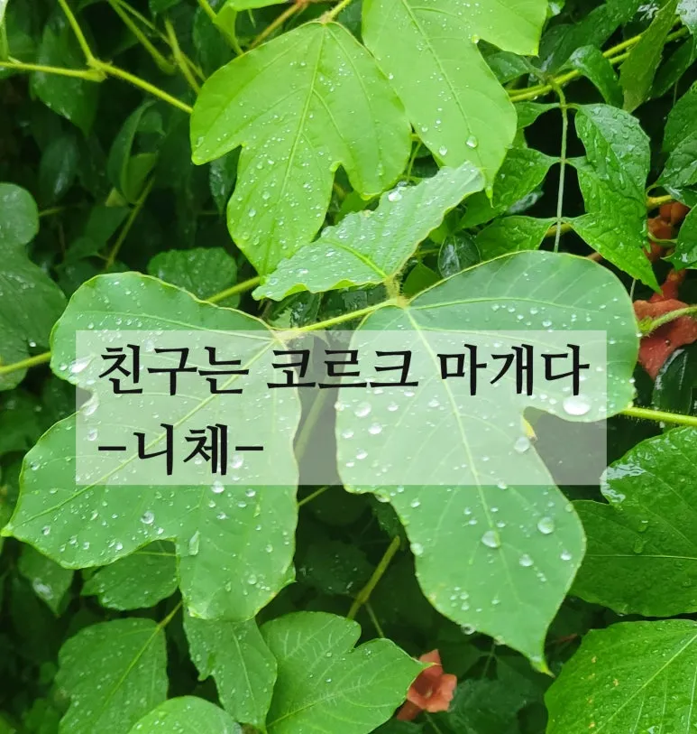 SE-6848b249-606d-459b-9a6f-7b2341d1a3db.jpg?type=w773