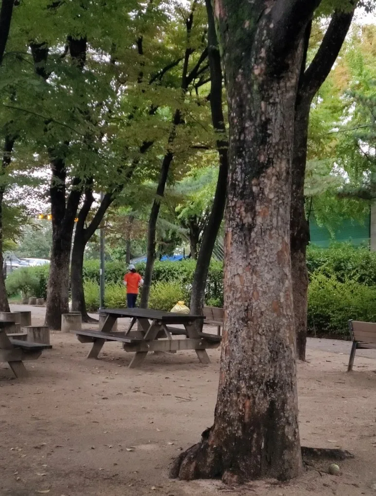 Screenshot_20241023_073622_Gallery.jpg?type=w773