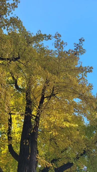 20251115_153007.jpg?type=w386