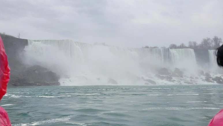 3472568721778105436:29062375.jpg?type=w773