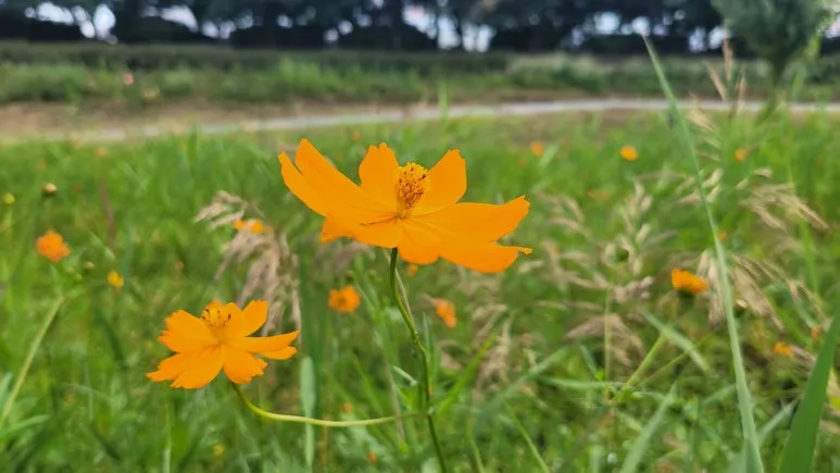 20250927_110626.jpg?type=w773