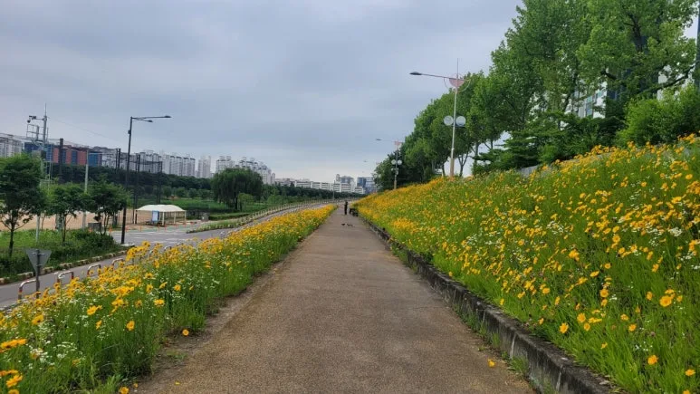 3472568971462964316:29062375.jpg?type=w773