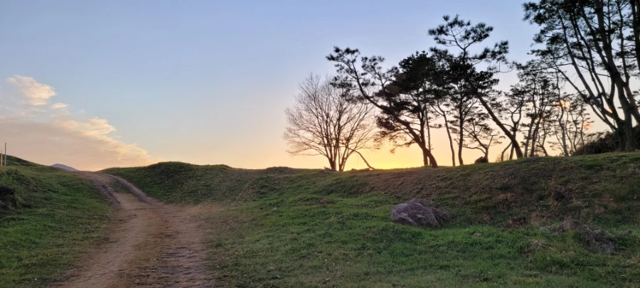 20211122%EF%BC%BF170831.jpg?type=w1