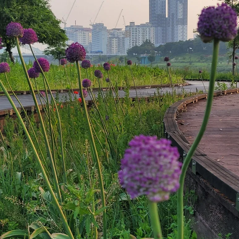 20250527_061948.jpg?type=w773