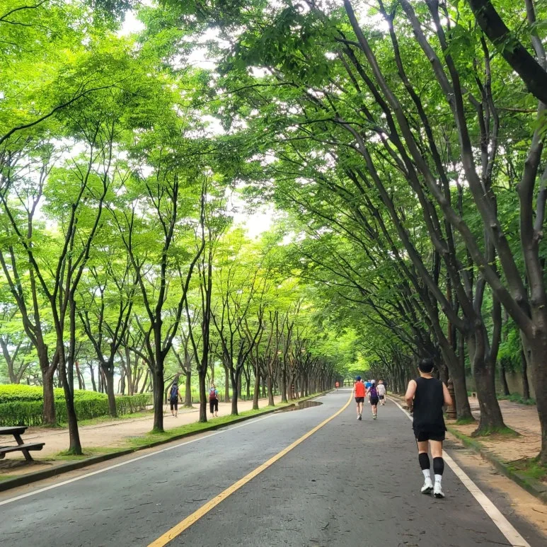 SE-f98b79a2-c0f1-4a99-ab0c-31b35a67e236.jpg?type=w773